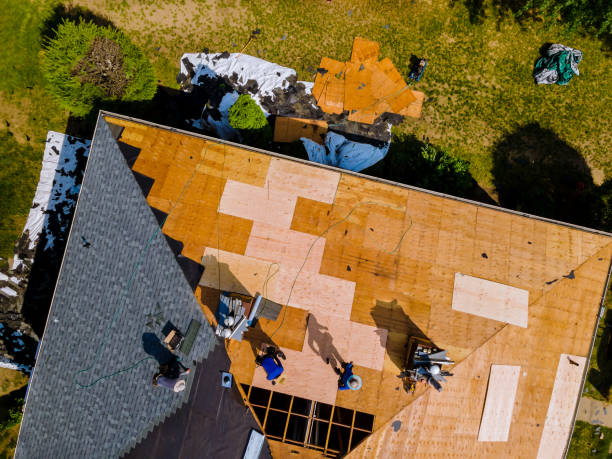 Professional Roofing Contractor in Manhattan, IL