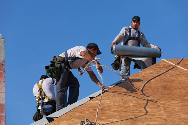 Best Roof Maintenance Services  in Manhattan, IL