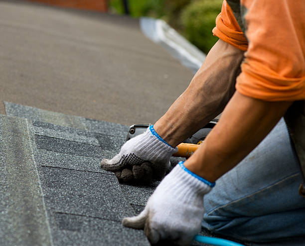 Best Roof Leak Repair  in Manhattan, IL