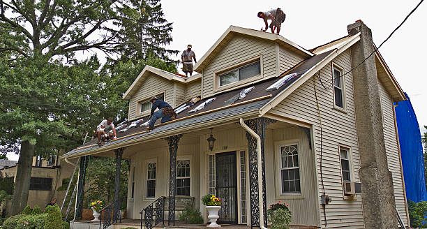 Best Roof Maintenance Services  in Manhattan, IL
